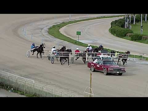 Aversa trotto 7 Marzo 2020 - 2° Corsa