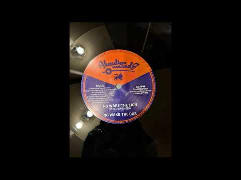 Sister Rasheda ‎–  No Wake The Lion ( heavyweight )