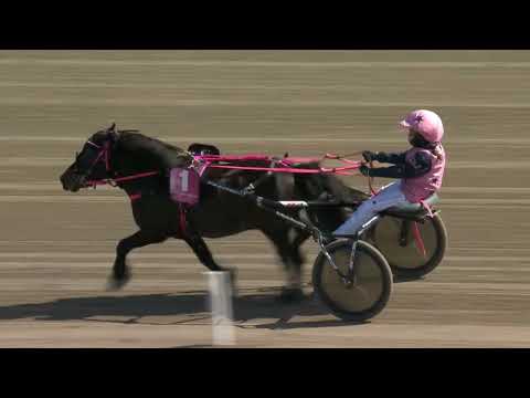 LOPP Mini Elitloppet - Ponnylopp Kat A  2025-05-24