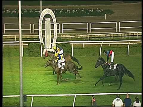 Galoppo 19/08/2015 - 5° corsa