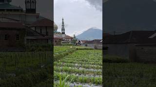 Download lagu Desa Serang Kalikajar Wonosobo #serang #kalikajar #wonosobo mp3 Download lagu Desa Serang Kalikajar Wonosobo #serang #kalikajar #wonosobo mp3