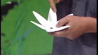 ভিডিও