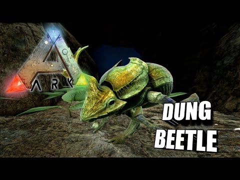 Taming A Dung Beetle | Ark Survival Evolved | The Island