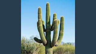 Download lagu You are the angel mp3