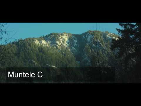 Adi Mocan - puterea, forta launtrica a femeii