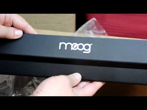 Распаковка и демонстрация кейса Moog 104HP