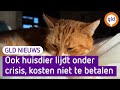 GLD Nieuws 10 oktober 2022