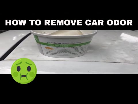 Biocide Auto Odor Eliminator - How To Get Rid Of Car Smells