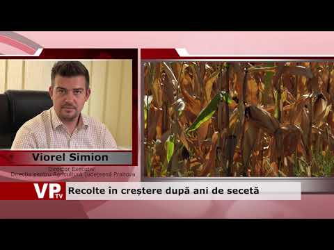 Recolte în creștere după ani de secetă