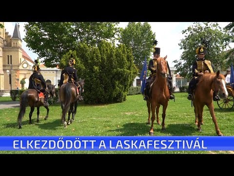 Elkezdődött Cegléden a Laskafesztivál
