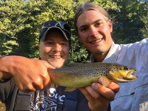 Fischers Maxe - wilde Bachforellen aus der Heimat // Spinnfischen