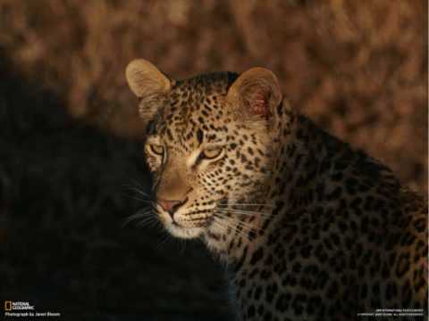 Groovik-Esprit (original mix)