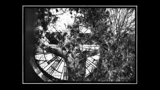 Music video thumbnail preview for Nightmare Lodge - Placenta Permeabile by Nightmare Lodge