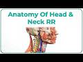 Anatomy of Head & Neck Timestamps - Rapid Revision by Dr. Monalisa