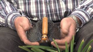 1. Walfer Konscht an Hobbymaart 