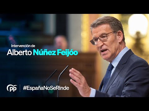 Núñez Feijóo interviene en el Congreso