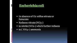 Download Lagu Microbiology-Sem 5-EP 2-Paper 502-ANAEROBIC RESPIRATION in Prokaryotic Metabolism Thumbnail