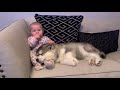 The Best Year Of Our Lives Baby And Puppy Growing Up Together Cutest Ever