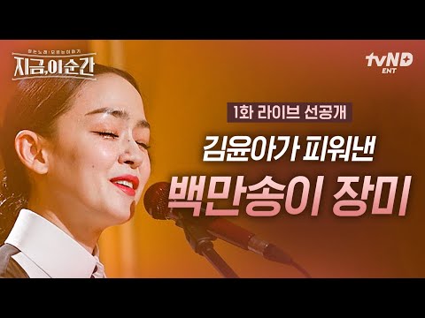 [선공개] 원곡자 심수봉도 인정한 김윤아의 '백만송이 장미'🌹 독보적인 분위기에 천만송이 장미로 피어나다✨ #지금이순간