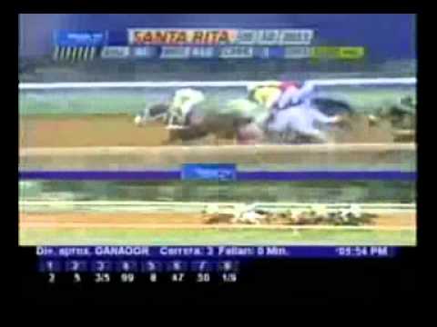 5Y6 EN VIDEO MR PALOMO MIERCOLES 07 MARZO