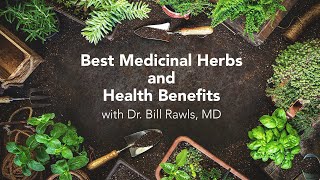 Best Medicinal Herbs and Health Benefits - Turmeric, Reishi, Japanese Knotweed, Hawthorn and Others