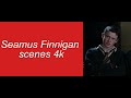 Seamus Finnigan Scenes Harrypotter Scenepack Foredit