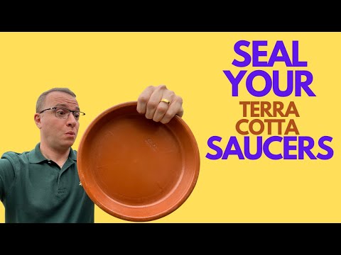 How to Seal Terra Cotta Saucers (and not damage your wooden furniture or floors!)