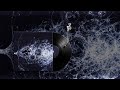 BOLA - 10 - WHOBLO
