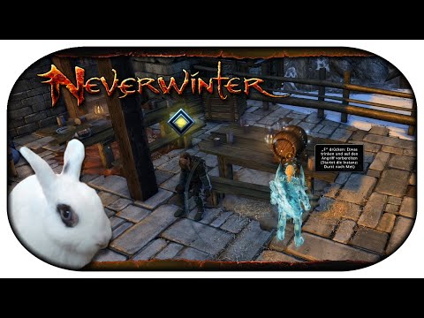 NEVERWINTER: Paladin-LP 🐇 158 - Met und Bier