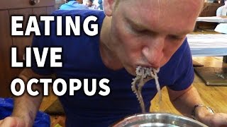 preview picture of video 'Eating Live Octopus in Korea'