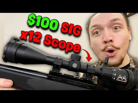 Best Budget Long Range Scope? | SIG Sauer Buck Master