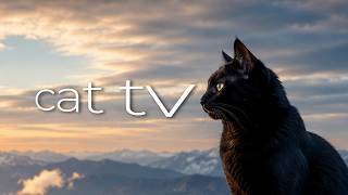 Cat TV 🐦 Underwater Fish, Tropical Birds & Relaxing Music for Cats | Ultimate Cat Entertainment