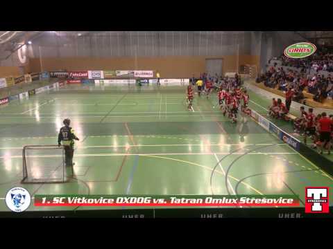 Utkání florbalové extraligy Vítkovice vs. Tatran