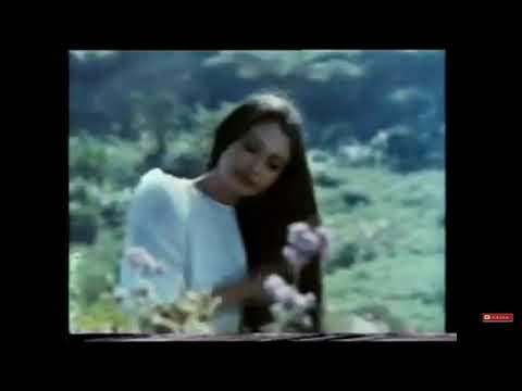 Iklan Syampu Timotei (1987)