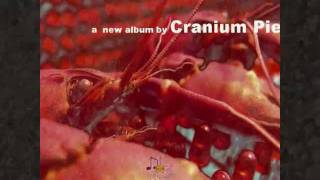 'Rememberr' - from Cranium Pie's new album 'Mechanisms Pt 1' (UK progressive rock)