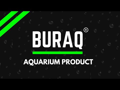 Buraq Aquarium Mini Fish Tank Curve Moulded Equipped with Back