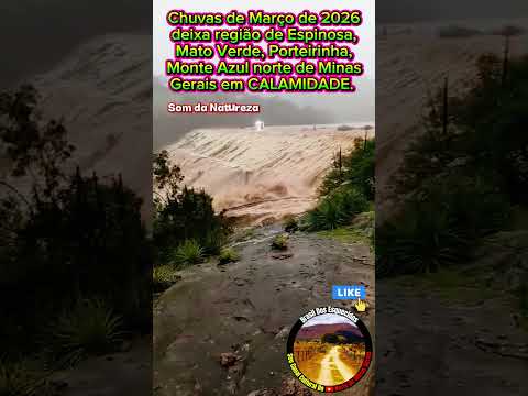 ZÉCA MATUTO DA SELVA EM CHUVAS NO NORTE DE MINAS GERAIS REGIÃO DE ESPINOSA MG+BRAZIL #reportagens