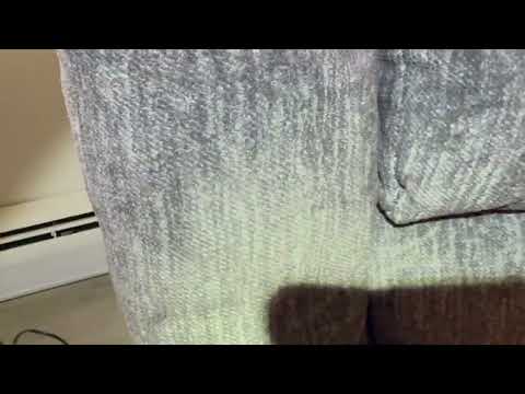 Bed Bugs Love the Couch in Barnegat, NJ