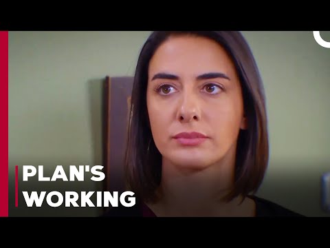 Hediye Is Tricked - Can't Stop Loving You