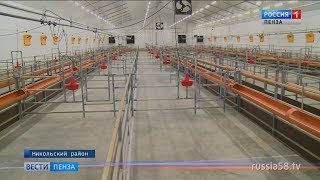 Рыбалка в никольском районе пензенской области