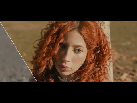 Farbgestaltungen bei Lion D'Or