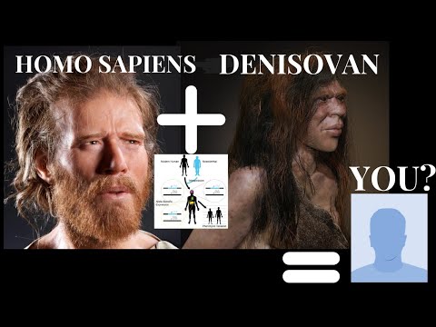 5 Denisovan DNA Physical Traits in Modern Humans