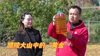 来自醴陵大山中的“黄金”馈赠，说不定你的餐桌上就有