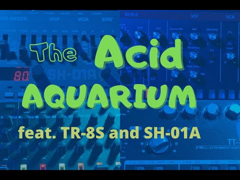 Roland TR-8S // SH-01A // cyclone analogic TT-303 // The Acid Aquarium (The Aquarium by Saint-Saëns)