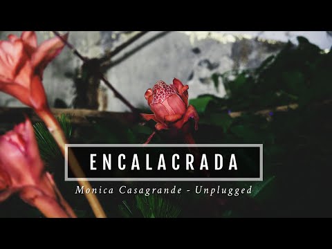 Encalacrada - Monica Casagrande