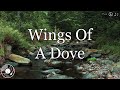 Wings Of A Dove w/ Lyrics - Dolly Parton Version - Infinite Peace Music Wings Of A Dove w/ Lyrics - Dolly Parton Version