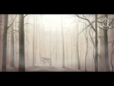 Koke Núñez Gómez - White Wolf