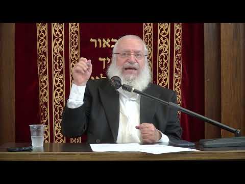 Short Thought on Lag B'Omer | by Harav Asher Weiss Shlita | 5784