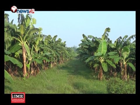 SUNDAR PACHIM(2075/6/12) - NEWS24 TV