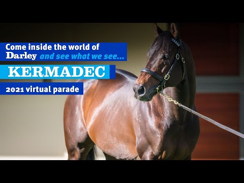 2021 Darley Australia Stallion Parade - Kermadec